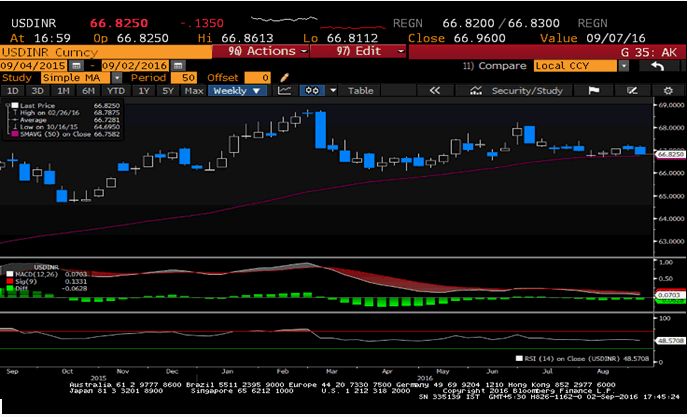 Forex weekly report